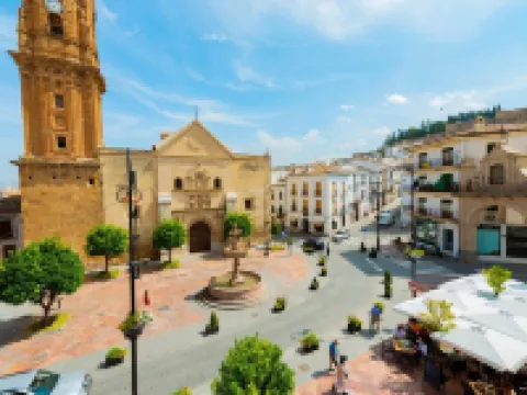 Hotel Manzanito Hoteles en Antequera