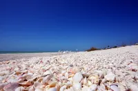 Island Inn Hotels in Captiva