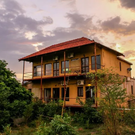 Mahua Tola Tadoba