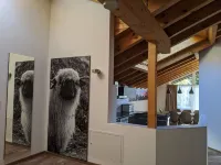 Apartments Patricia Hotels in Zermatt