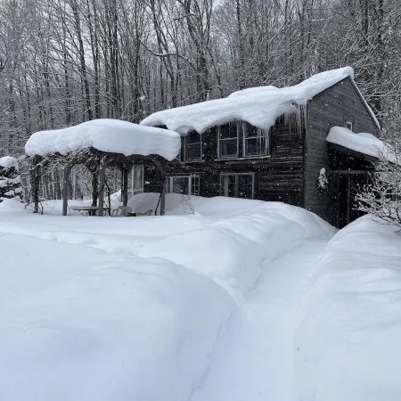 Dream Cabin in charming Hyde Park with WiFi access