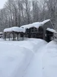 Dream Cabin in charming Hyde Park with WiFi access