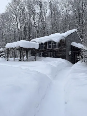 Dream Cabin in charming Hyde Park with WiFi access