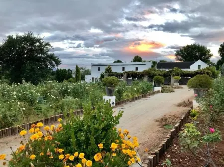 Leipzig Country House & Winery Отели в г. Вустер