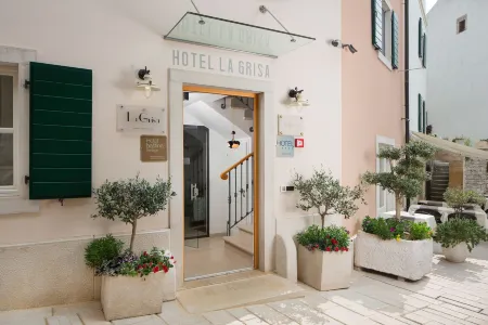 Hotel la Grisa Отели в г. Orbanici