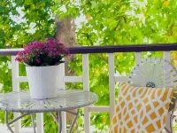 朱利安旅館 朱利安酒店