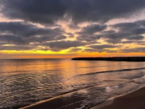 Palm Hotel Hotels in El Kram