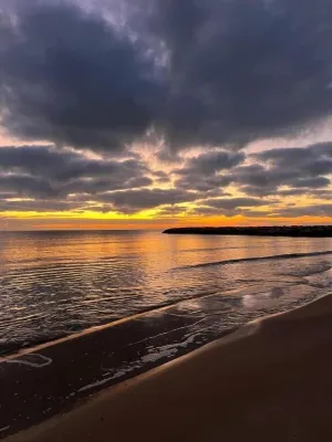 Palm Hotel Hotels in El Kram