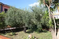 Case Vacanze Ancora Hotels near Camping la Pineta Village