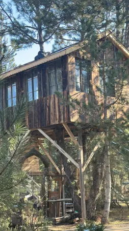 Lepista Garden Отели в г. Gerede