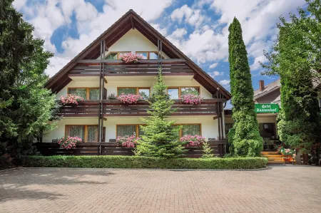 Apartment am Tannenweg