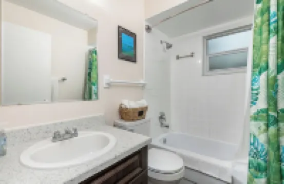Luxurious 2 bedroom near Innisbrook Golf Resort!