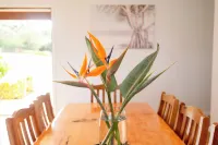 Beefsteak Homestead