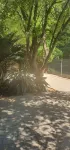 Anopam Guest House