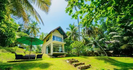 Serendipity Lake - Hikkaduwa