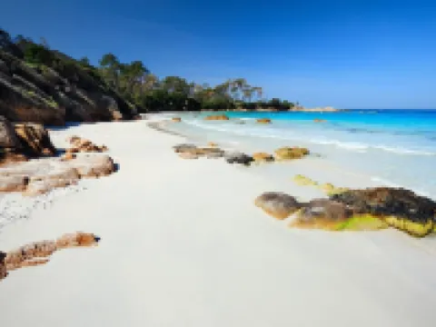 Porticcio: Porticcio rental sea view (T2) luxury apartment 100m from the beach