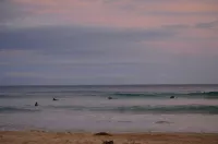 Wye Dream - Wye River Beach House - 200 metres to beach! - 비치