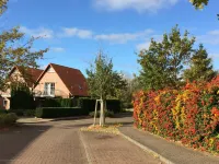 4 star holiday apartment on the ground floor and WiFi