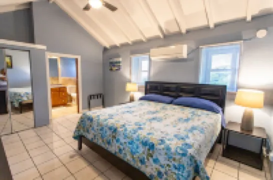 Minutes Walk to Cane Bay Beach- Porch Mountain Views, Sea from the backyard