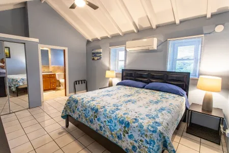 Minutes Walk to Cane Bay Beach- Porch Mountain Views, Sea from the backyard Отели рядом с достопримечательностью «Salt River Bay»