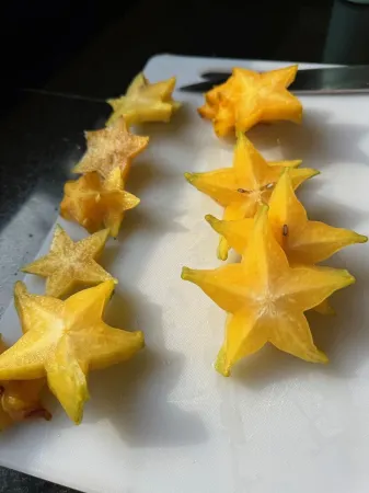 Wildlife Haven near Surf and Sea