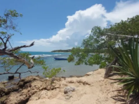 Eco-Modern Apartment @ VillaMarissa 2 Bed/2.5 Bath Hotels in Treasure Beach