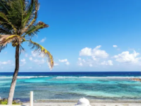 Coral Loft 4BR + 1 BR Oceanfront Villa w/ Private Pool & Beach in Grand Cayman Hotels in North Side