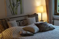 Detached and spacious house with large garden