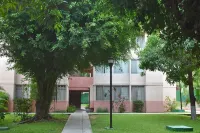 Elegant Condo in the downtown with swimming pool