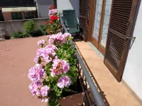 Casa Marina .. a stone's throw from the center!