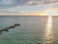 Combate Beach View Apt 3 보케론 호텔