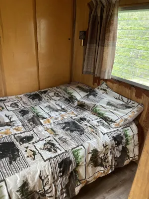Cozy cabin on shores of Rainy Lake - fantastic fishing!