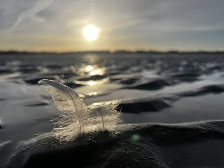 T3 duplex hyper center fort mahon 700 meters from the beach close to all shops. Отели в г. Фор-Маон-Пляж