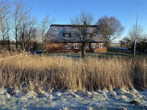 Beautiful thatched cottage on the German-Danish border near Sylt - 4-Star