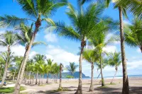 Beautiful Beachfront Ocean View Condo