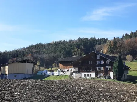 Cozy, rustic apartment in a quiet location
