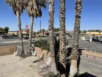 Palms Inn & Suites