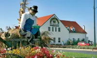 Hanfthal-Hof Hotels in Mailberg