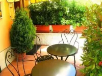 Il Ponte Affittacamere Hotels in Lucca