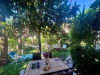 Carikci Hotel - 2-Star