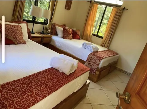 Enchanted Monkey Apartment