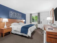 Starlite Resort Hotels in Saugatuck