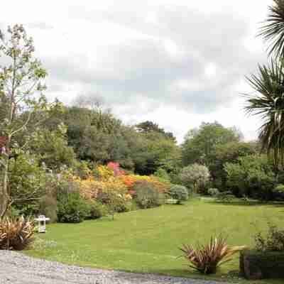 Carrig Country House & Restaurant Hotel Exterior