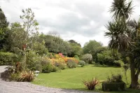 Carrig Country House & Restaurant - Beach