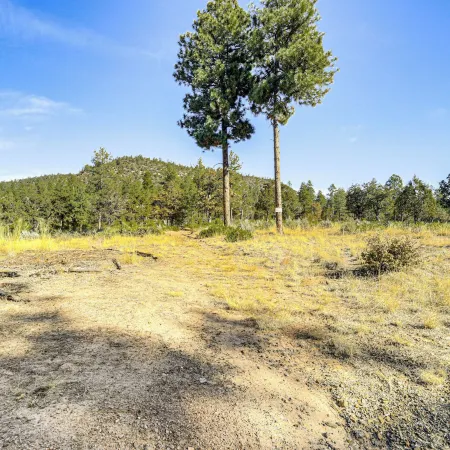Peaceful Strawberry Cabin Fire Pit and Hot Tub