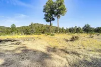 Peaceful Strawberry Cabin Fire Pit and Hot Tub - 3-Sterne