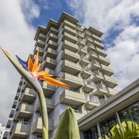 Allegro Madeira - Adults Only