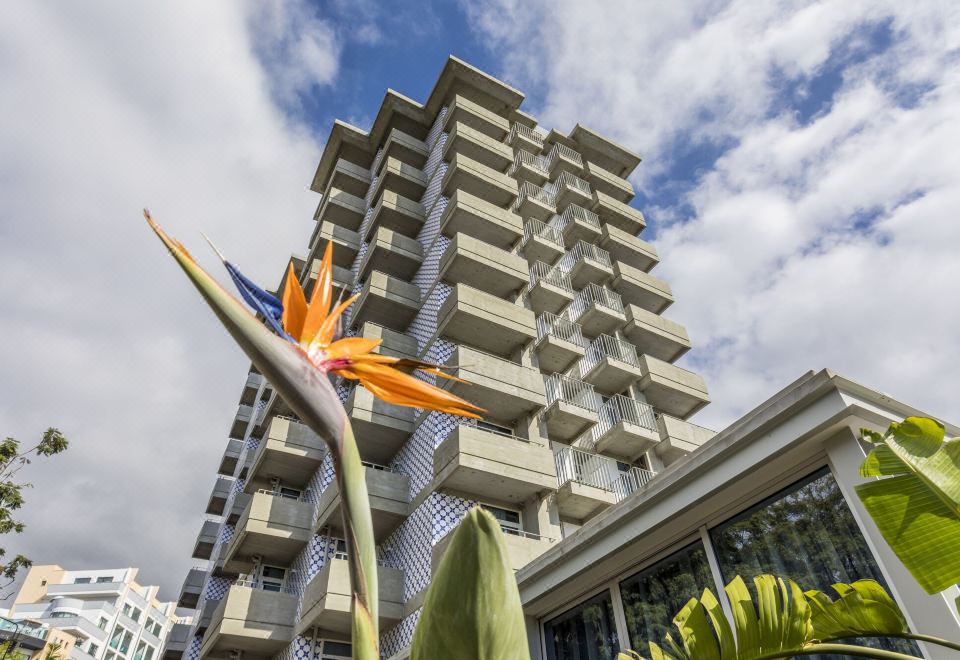 Hotel Allegro Madeira - Adults Only, Exterior, Hotel Exterior
