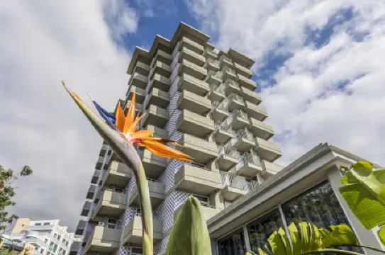 Allegro Madeira - Adults Only