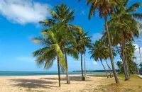 One Hotel Hotels in Joao Pessoa